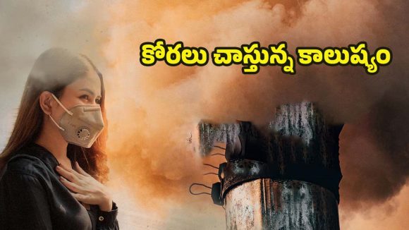 Air Pollution: వాయు కాలుష్యాన్ని నిర్లక్ష్యం చేస్తే.. అంతే సంగతులు