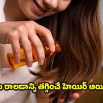 Hair Thinning: జుట్టు పలచబడుతోందా ? అయితే ఈ ఆయిల్స్ వాడండి !