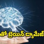 Brain Health: ఏ అలవాట్లు మెదడుకు.. నష్టం కలిగిస్తాయో తెలుసా ?