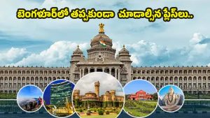 Bangalore Tour: బెంగళూరు టూర్.. ఈ ప్రదేశాలు ఒక్కసారైనా చూడాల్సిందే !
