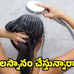 Hair Fall In Winter: చలికాలంలో జుట్టు రాలుతోందా ? అయితే ఈ టిప్ప్ ఫాలో అవ్వండి