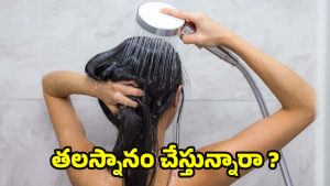 Hair Fall In Winter: చలికాలంలో జుట్టు రాలుతోందా ? అయితే ఈ టిప్ప్ ఫాలో అవ్వండి