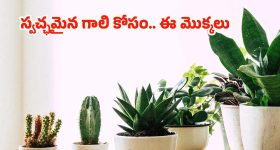 Leopard Attack on Police: పరిగెత్తించి.. కిందపడేసి పోలీసుపై చిరుత దాడి.. చివరికి ఏం జరిగిందంటే!