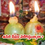 Karthika Masam 2025: కార్తీక మాసంలో ఉసిరి దీపం వెలిగిస్తున్నారా ? ఈ పొరపాట్లు అస్సలు చేయొద్దు