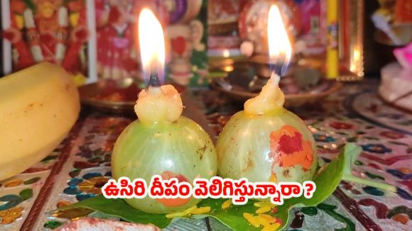 Karthika Masam 2025: కార్తీక మాసంలో ఉసిరి దీపం వెలిగిస్తున్నారా ? ఈ పొరపాట్లు అస్సలు చేయొద్దు