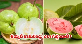 Akhanda 2 PreRelease : 'అఖండ 2 ' ప్రీ రిలీజ్ ఈవెంట్ డేట్ ఇదే.. బాలయ్య కోసం వచ్చేస్తున్న స్టార్ట్స్..