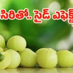 Amla: ఆరోగ్యానికి మంచిదని ఉసిరికాయ ఎక్కువగా తింటున్నారా ? నిపుణులు చెప్పేది వెంటే షాక్ అవుతారు