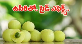 Amla: ఆరోగ్యానికి మంచిదని ఉసిరికాయ ఎక్కువగా తింటున్నారా ? నిపుణులు చెప్పేది వెంటే షాక్ అవుతారు