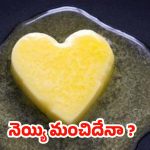 Ghee For Heart Health: గుండె ఆరోగ్యానికి నెయ్యి మంచిదా? కాదా? అసలు నిజం వెంటే షాక్ అవుతారు !