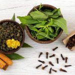 Ayurvedic Plants: ఈ ఆయుర్వేద మొక్కలతో కొలెస్ట్రాల్‌‌కు చెక్ పెట్టొచ్చు !