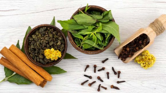 Ayurvedic Plants: ఈ ఆయుర్వేద మొక్కలతో కొలెస్ట్రాల్‌‌కు చెక్ పెట్టొచ్చు !
