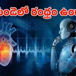 AI-Heart Condition: డీప్ లెర్నింగ్ కృత్రిమ మేధ.. గుండెలో దాగున్న రంధ్రాన్ని ఇట్టే పట్టేస్తుంది!