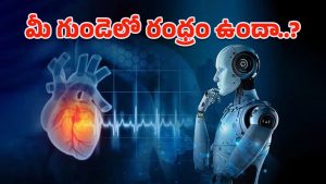 AI-Heart Condition: డీప్ లెర్నింగ్ కృత్రిమ మేధ.. గుండెలో దాగున్న రంధ్రాన్ని ఇట్టే పట్టేస్తుంది!