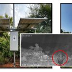 Wild Elephants Control With AI: అడవి ఏనుగులను ఏఐతో కట్టడి.. సరికొత్త సాంకేతికతో ఏపీ సర్కార్ ముందడుగు