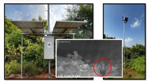 Wild Elephants Control With AI: అడవి ఏనుగులను ఏఐతో కట్టడి.. సరికొత్త సాంకేతికతో ఏపీ సర్కార్ ముందడుగు