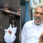 AP  Liquor Scam: మద్యం కుంభకోణం కేసు.. చెవిరెడ్డి ఆస్తుల జప్తుకు ఆదేశాలు, ఖంగుతిన్న ఆ ఫ్యామిలీ