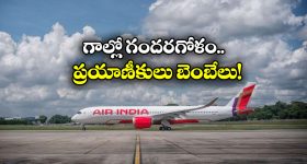 Nagayalanka: ఒకటి కాదు రెండు కాదు.. వందల సంఖ్యలో పాములు.. ఎక్కడంటే!