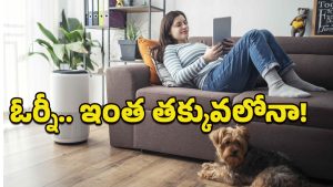 Air Purifiers: ఇంట్లో కాలుష్యానికి కళ్లెం.. రూ.5వేల లోపే బెస్ట్ ఎయిర్ ప్యూరిఫైయర్స్!