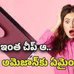 Amazon Black Friday Sale: అమెజాన్‌లో గూగుల్ పిక్సెల్ 10 ఫోన్ పై బంపర్ ఆఫర్… బ్లాక్ ఫ్రైడేలో మిస్ అవొద్దు