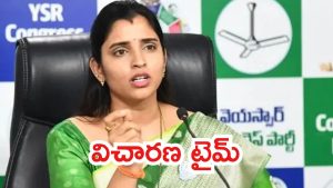 Kurnool News: పోలీసుల ముందుకు వైసీపీ శ్యామల.. విచారించిన పోలీసులు,  తప్పుడు ప్రచారం చేసినందుకు