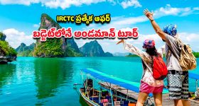 Smart TVs Under rs 10000: ఫ్లిప్‌కార్ట్‌లో రూ.10వేల లోపే టీవీ ఆఫర్లు.. ఏ బ్రాండ్ టీవీ బెస్ట్? ఏది కొనాలి?