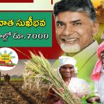 Annadata Sukhibhava: అన్నదాత సుఖీభవపై అనౌన్స్ మెంట్ వచ్చేసింది.. రేపే రైతుల ఖాతాల్లోకి డబ్బులు