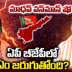 P.V.N. Madhav: మాధవ్ వన్‌మాన్ షో.. ఏపీ బీజేపీలో ఏం జరుగుతోంది?