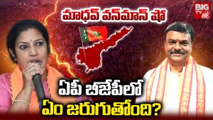 P.V.N. Madhav: మాధవ్ వన్‌మాన్ షో.. ఏపీ బీజేపీలో ఏం జరుగుతోంది?