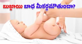 Municipality: రాష్ట్రంలో మరో కొత్త మున్సిపాలిటీకి లైన్ క్లియర్.. ఎన్నికల నోటిఫికేషన్‌కు ముందే..?