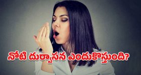 Top 20 News Today: ప్రయాణికుడిని కొట్టిన రైల్వే అధికారి.. కారు ఢీకొని బైకర్ దుర్మరణం