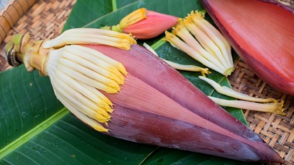 Arati Puvvu benefits:  అరటి పువ్వు తినడం వల్ల లాభాలేంటి? ఎందుకు తినాలి?