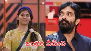 Bigg Boss 9 : పోకిరి లెవెల్ ట్విస్ట్, దివ్య కు ఇచ్చి పడేసిన భరణి, అసలైన విలనిజం