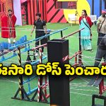 Bigg Boss 9 Promo: కమాండర్ పవర్.. రిస్కీ టాస్క్ లో ఉత్కంఠ!