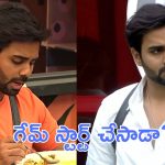 Bigg Boss 9 : ఈ సీజన్ లో అలాంటి వాడు లేడు, కెప్టెన్ కి ఇచ్చి పడేసాడు 