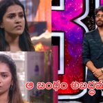 Bigg Boss 9 day 56 : మాధురి ఎలిమినేటెడ్, తనుజ వెన్నుపోటు, హౌస్ లో ఎవరు ఎలాంటివారు