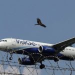 IndiGo flight: ఇండిగో విమానాన్ని ఢీకొట్టిన పక్షి, వెంటనే ల్యాండింగ్ చేసిన పైలెట్