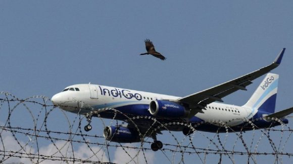 IndiGo flight: ఇండిగో విమానాన్ని ఢీకొట్టిన పక్షి, వెంటనే ల్యాండింగ్ చేసిన పైలెట్