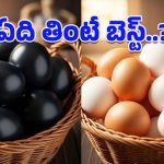 Black Eggs vs White Eggs: ప్రొటీన్ ఫుడ్‌పై ఏంటీ కన్ఫ్యూజన్.. ఈ రెండిట్లో ఆరోగ్యానికి ఏది మంచిదో తెలుసా?