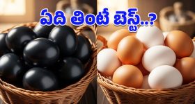 Telangana Govt: మొంథా తుఫాన్ బాధితులకు గుడ్ న్యూస్.. పరిహారం విడుదల చేసిన రేవంత్ సర్కార్