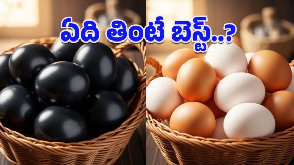 Black Eggs vs White Eggs: ప్రొటీన్ ఫుడ్‌పై ఏంటీ కన్ఫ్యూజన్.. ఈ రెండిట్లో ఆరోగ్యానికి ఏది మంచిదో తెలుసా?
