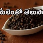 Black Pepper: దీన్నింకా మసాలా అనుకుంటున్నారా.. శీతాకాలంలో నల్ల మిరియాలు తీసుకుంటే ఫుల్ హెల్త్!