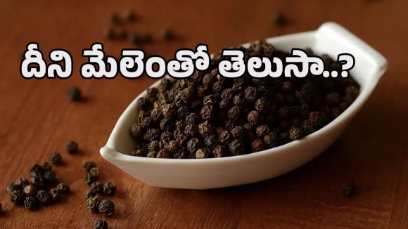 Black Pepper: దీన్నింకా మసాలా అనుకుంటున్నారా.. శీతాకాలంలో నల్ల మిరియాలు తీసుకుంటే ఫుల్ హెల్త్!