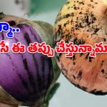 Black-mold on Onions: నల్లటి మచ్చలున్న ఉల్లిపాయల్ని వాడేస్తున్నారా?.. అత్యంత ప్రమాదకరమంటున్న వైద్యులు!