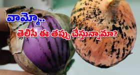 Black-mold on Onions: నల్లటి మచ్చలున్న ఉల్లిపాయల్ని వాడేస్తున్నారా?.. అత్యంత ప్రమాదకరమంటున్న వైద్యులు!