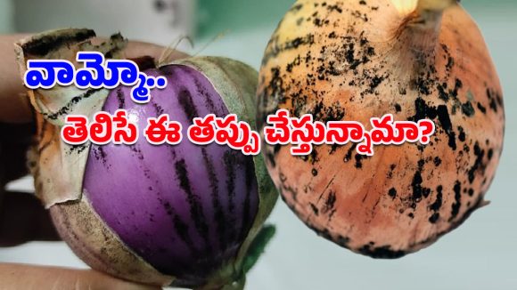 Black-mold on Onions: నల్లటి మచ్చలున్న ఉల్లిపాయల్ని వాడేస్తున్నారా?.. అత్యంత ప్రమాదకరమంటున్న వైద్యులు!