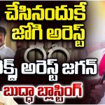 Buddha Venkanna:అమ్మవారు కన్నెర్ర చేశారు.. జోగి రమేష్‌పై బుద్దా వెంకన్న హాట్ కామెంట్స్!