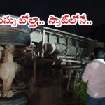Bus Accident: రాష్ట్రంలో మరో బస్సు ప్రమాదం.. ఒకరు మృతి, పలువురికి తీవ్ర గాయలు