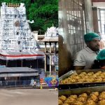 Tirumala laddu Adulterated Ghee: తిరుమల కల్తీ నెయ్యి కేసు.. ఆ నెయ్యితో 20 కోట్ల లడ్డూల తయారీ
