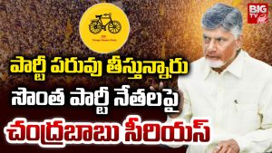 CM Chandra Babu: పార్టీ పరువు తీస్తున్నారు.. సొంత పార్టీ నేతలపై చంద్రబాబు సీరియస్