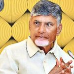 CM Chandrababu: భారీ పెట్టుబడులను ఆకర్షించడమే లక్ష్యంగా.. ఇటలీ రాయబారితో సీఎం చంద్రబాబు భేటీ